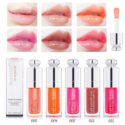 High Gloss Lipstick Mirror Moisturizing Plumping Lip Gloss Volume